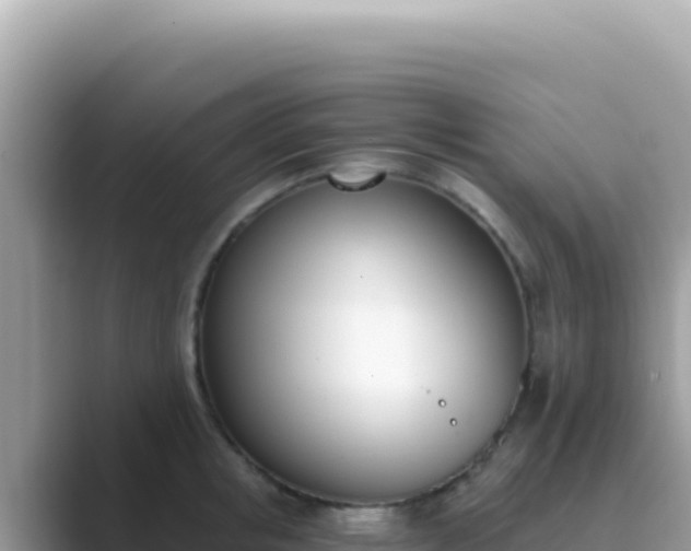 X0000089850853200707051114