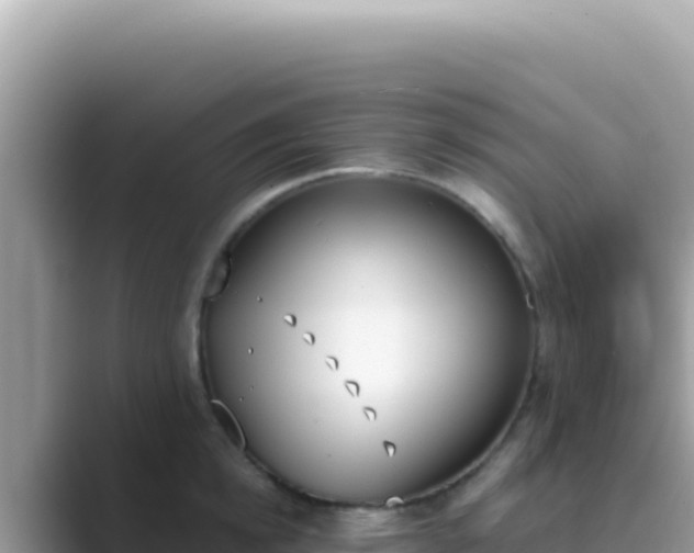 X0000089850854200707051114