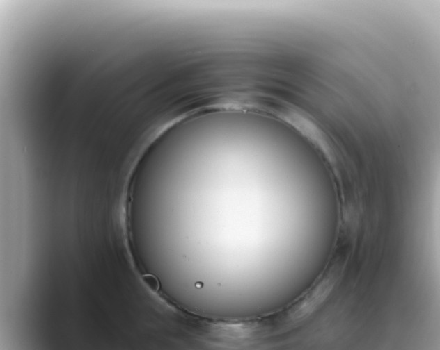 X0000089850855200707051114