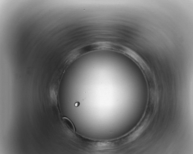 X0000089850857200707051114