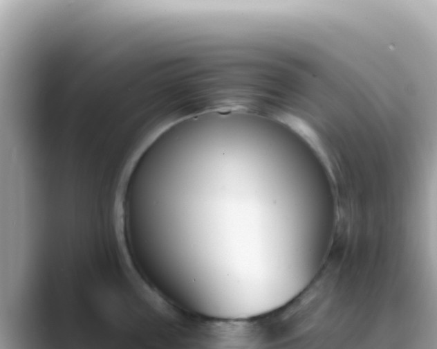 X0000089850859200707051114