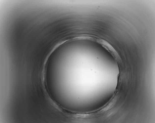 X0000089850860200707051114