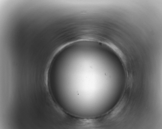 X0000089850862200707051114