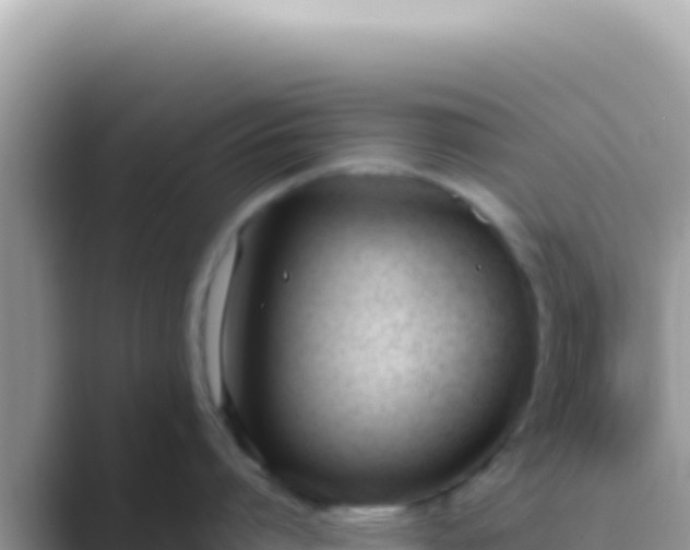 X0000089850864200707051114