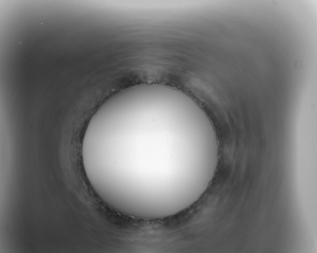 X0000089850865200707051113