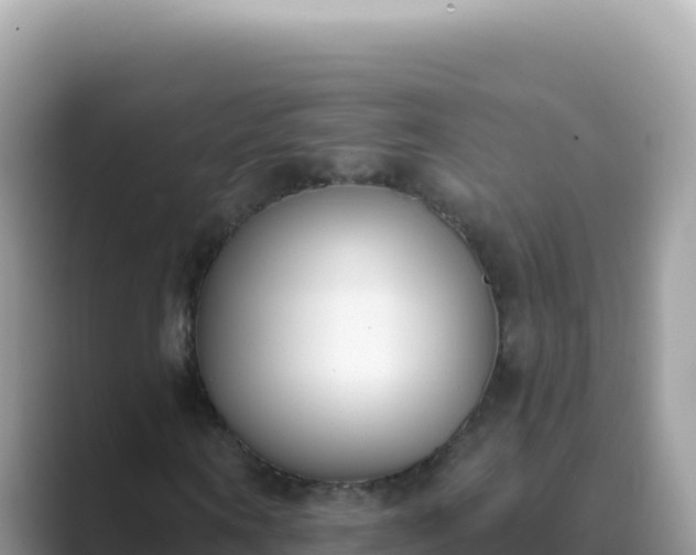 X0000089850866200707051113