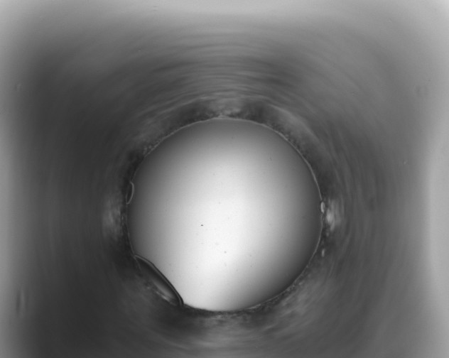X0000089850867200707051113