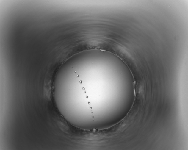 X0000089850868200707051113