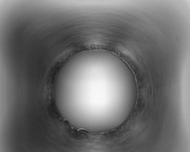 X0000089850870200707051113