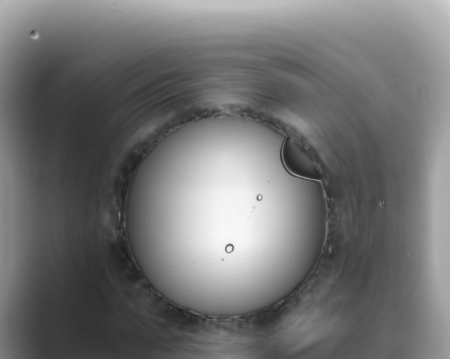 X0000089850871200707051113