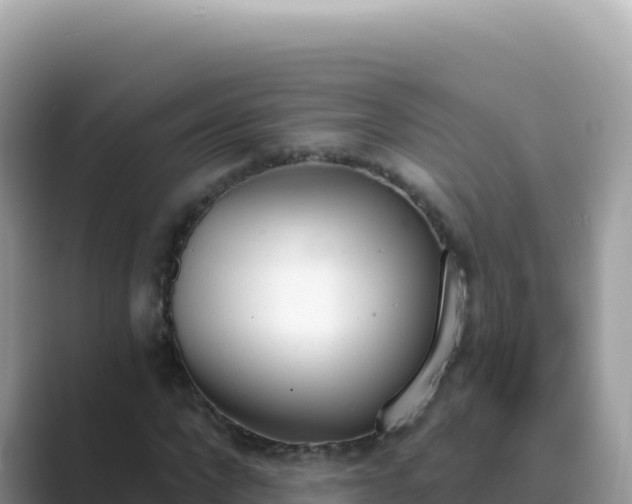 X0000089850872200707051113