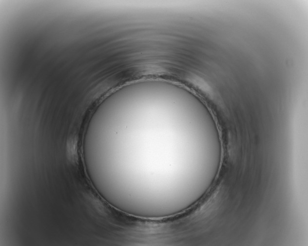 X0000089850873200707051113