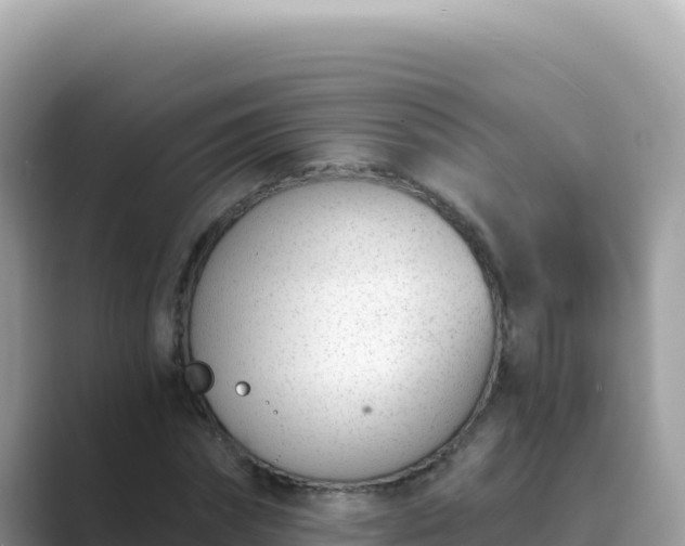 X0000089850874200707051113