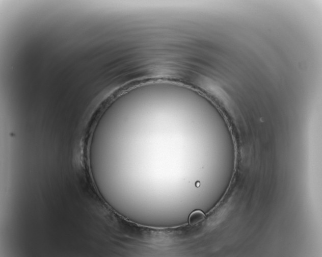 X0000089850875200707051113