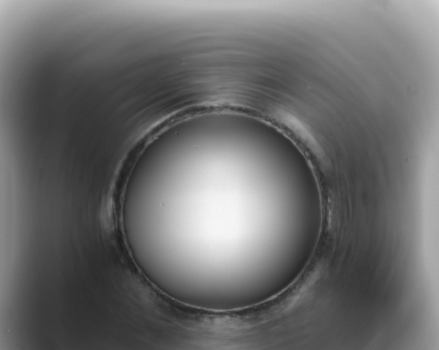 X0000089850876200707051113