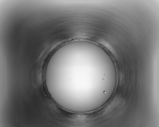 X0000089850878200707051113
