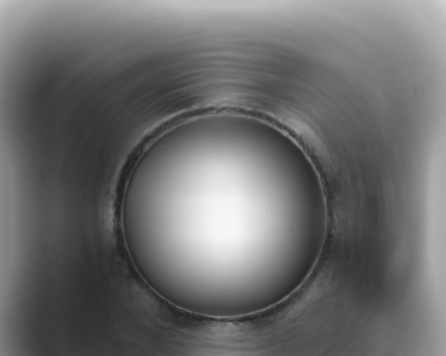 X0000089850880200707051113