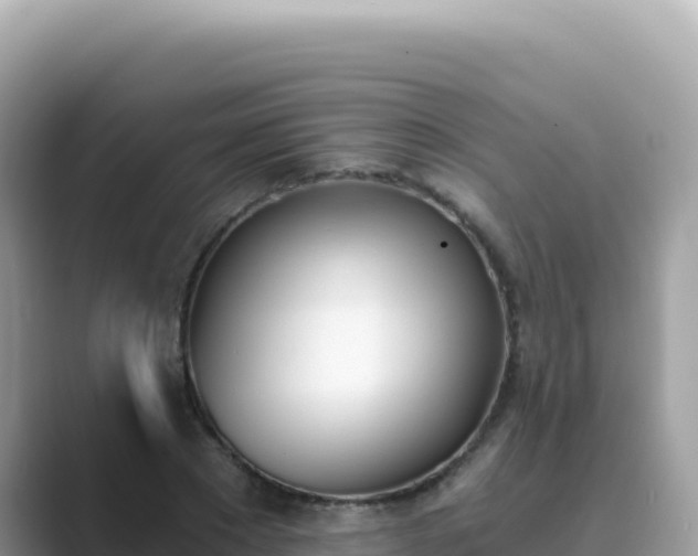 X0000089850881200707051113