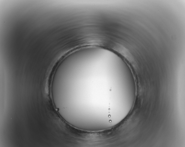 X0000089850883200707051113