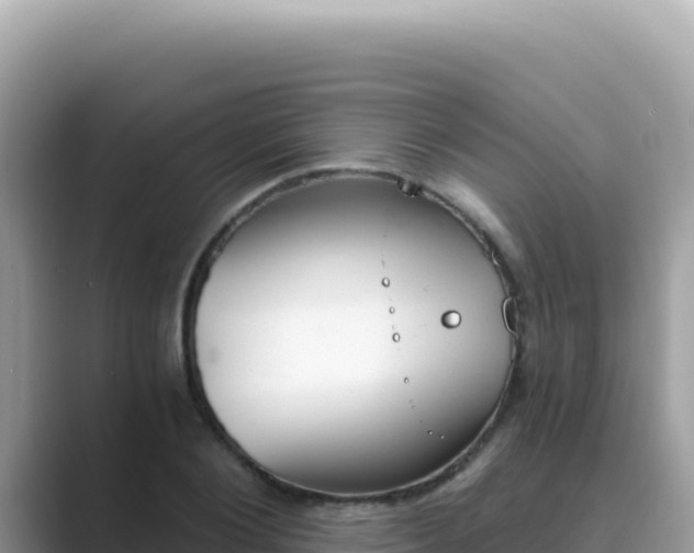 X0000089850884200707051113
