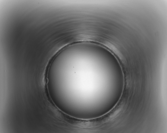 X0000089850885200707051113