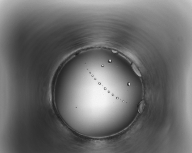 X0000089850888200707051113