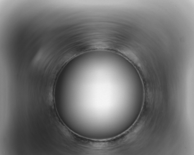 X0000089850889200707051113