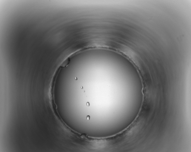 X0000089850893200707051113
