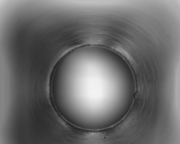 X0000089850894200707051113