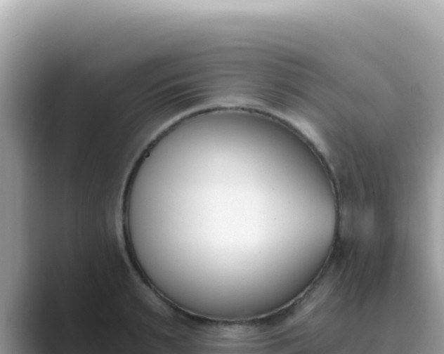 X0000089850895200707051113