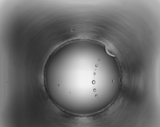 X0000089850896200707051113
