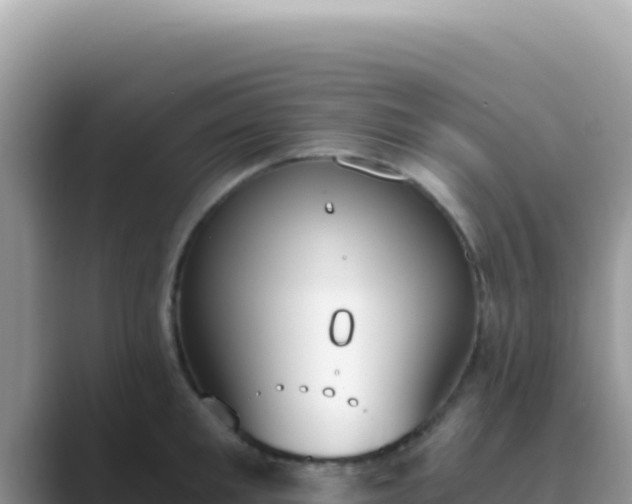 X0000089850901200707051113