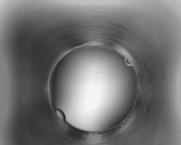 X0000089850907200707051113