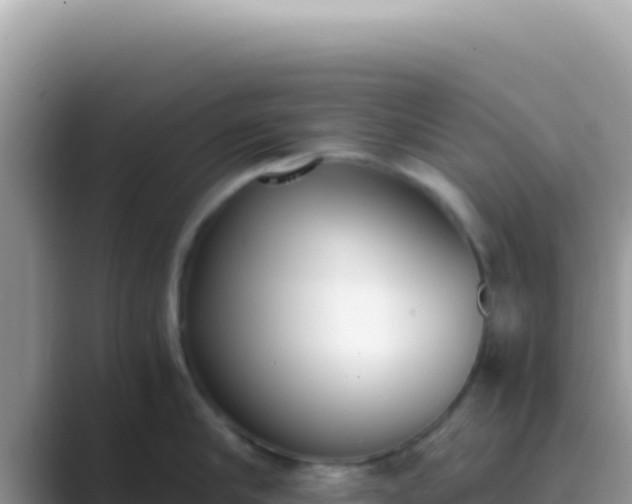 X0000089850910200707051113