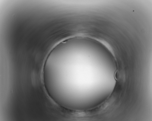X0000089850911200707051113