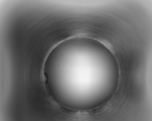 X0000089850912200707051113
