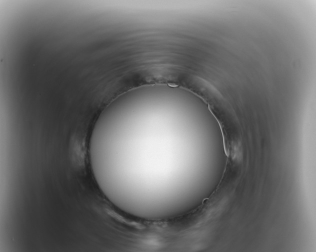 X0000089850915200707051112