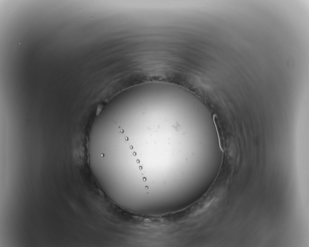 X0000089850916200707051112