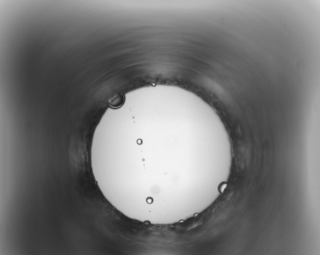 X0000089850918200707051112