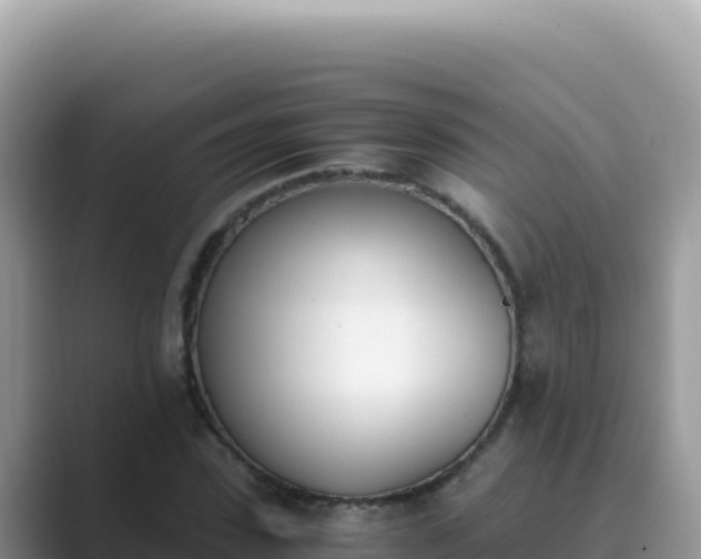 X0000089850923200707051112