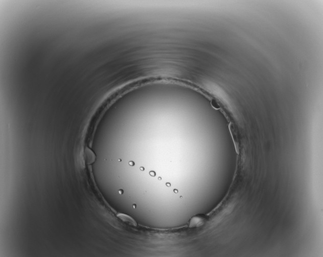 X0000089850924200707051112