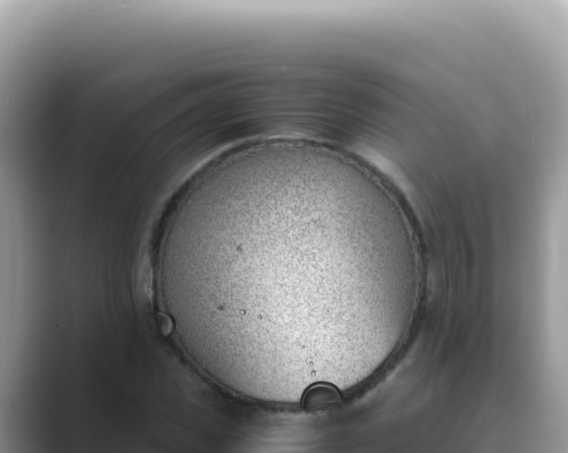 X0000089850925200707051112