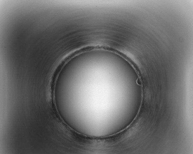 X0000089850927200707051112