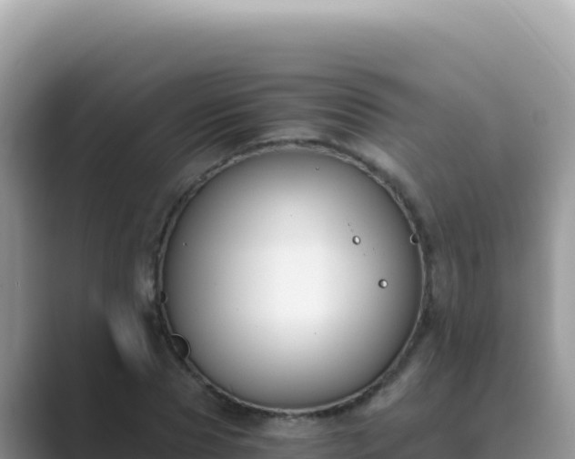 X0000089850929200707051112