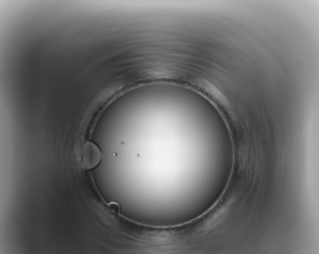 X0000089850930200707051112