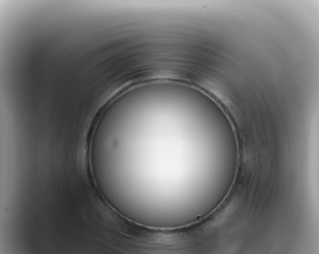 X0000089850933200707051112