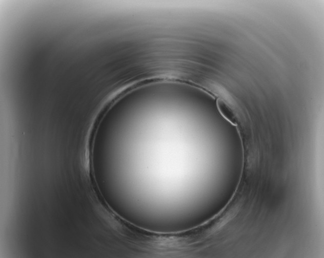 X0000089850940200707051112
