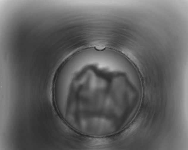 X0000089850941200707051112