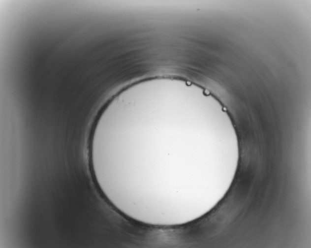 X0000089850950200707051112