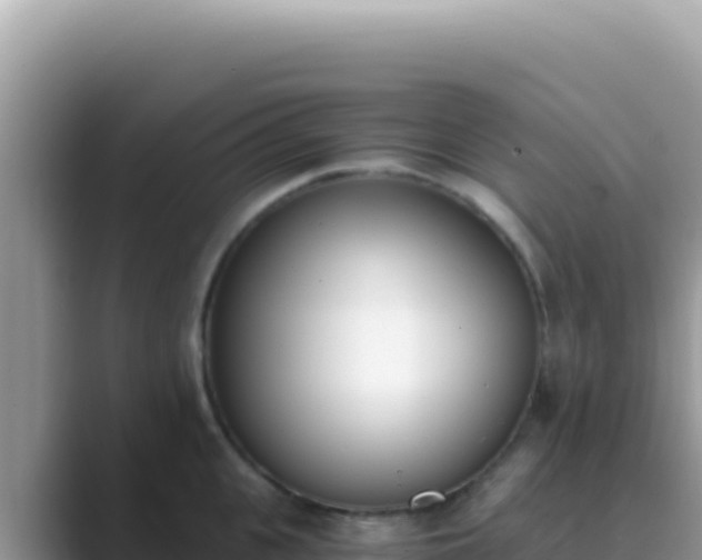 X0000089850951200707051113